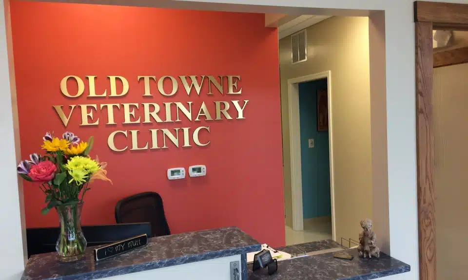 Old Towne Veterinary Clinic