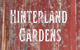 Hinterland Gardens
