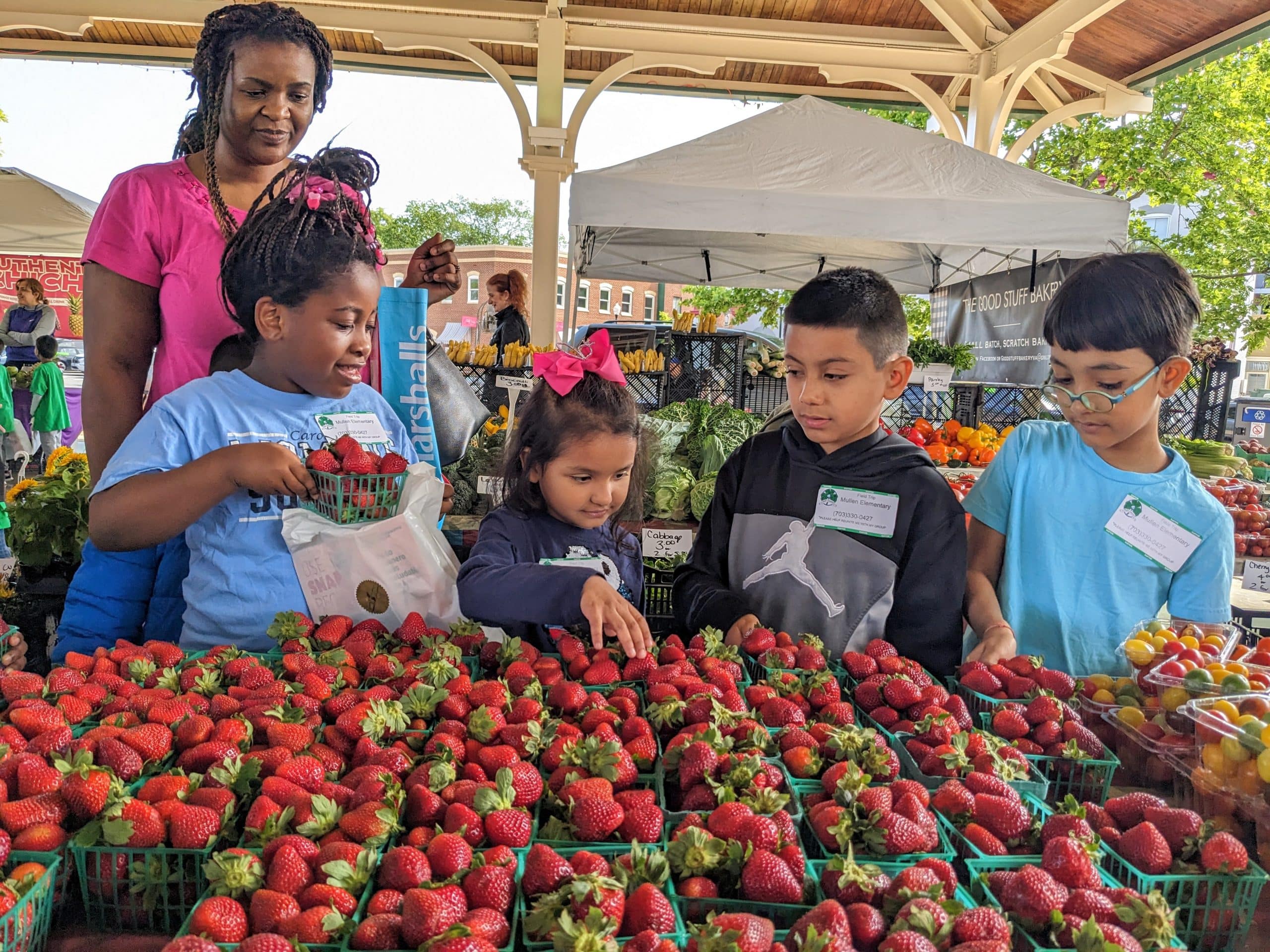 Fun and Learning at the Farmers Market Historic Manassas, Inc