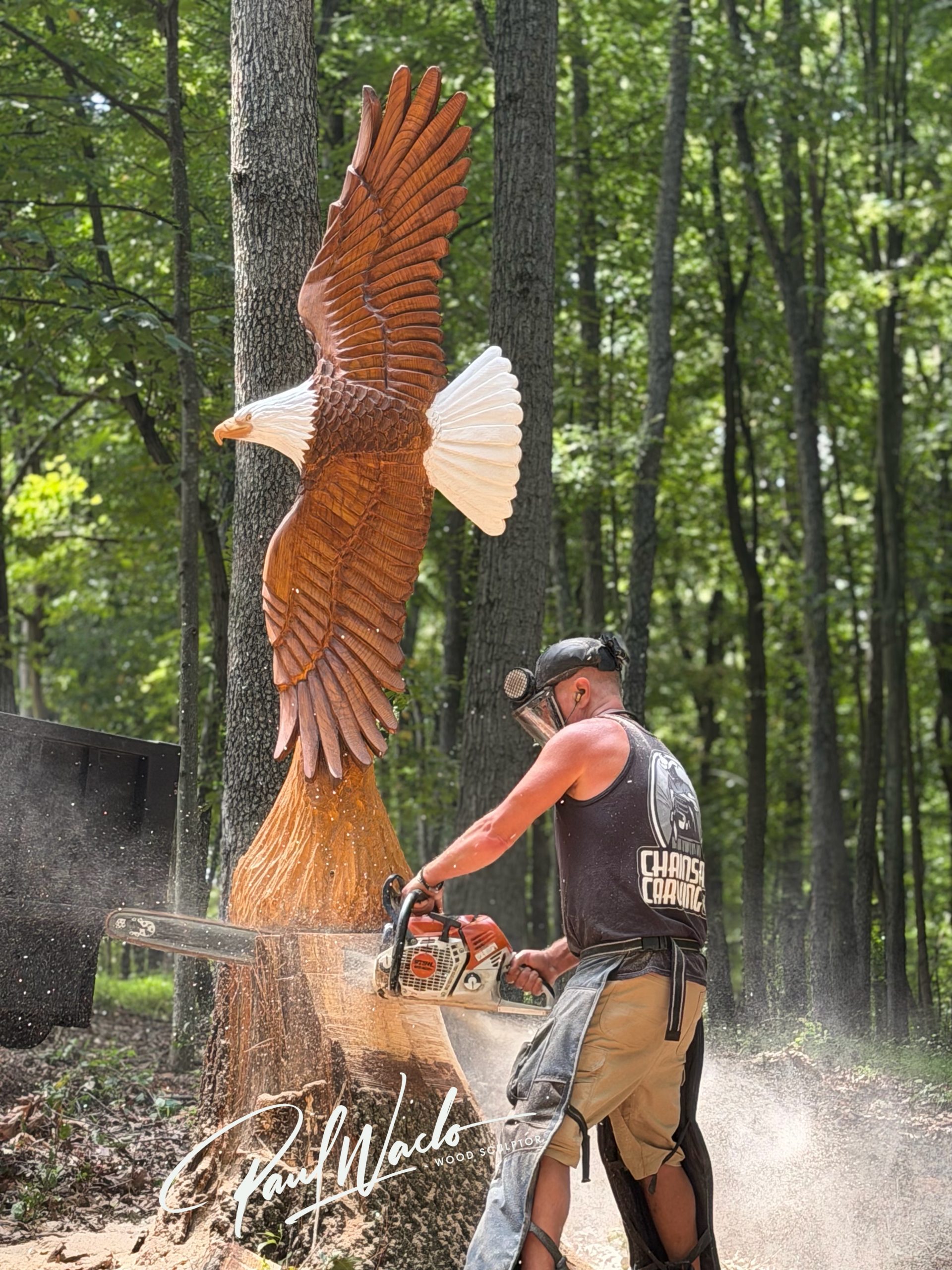 Chainsaw Carving by Paul